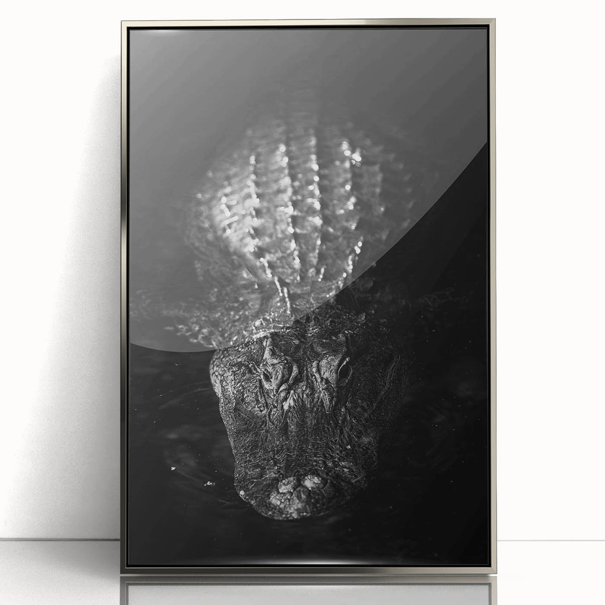 Framed acrylic wall art featuring a vibrant design of reptiles, specifically alligators and crocodiles, with a sleek silver frame, perfect for wildlife enthusiasts.