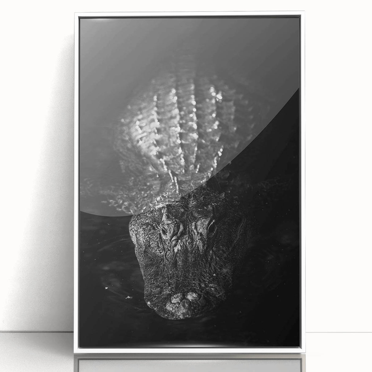 Framed acrylic wall art showcasing a vibrant design of reptiles, including alligators and crocodiles, set against a white background, perfect for wildlife enthusiasts.