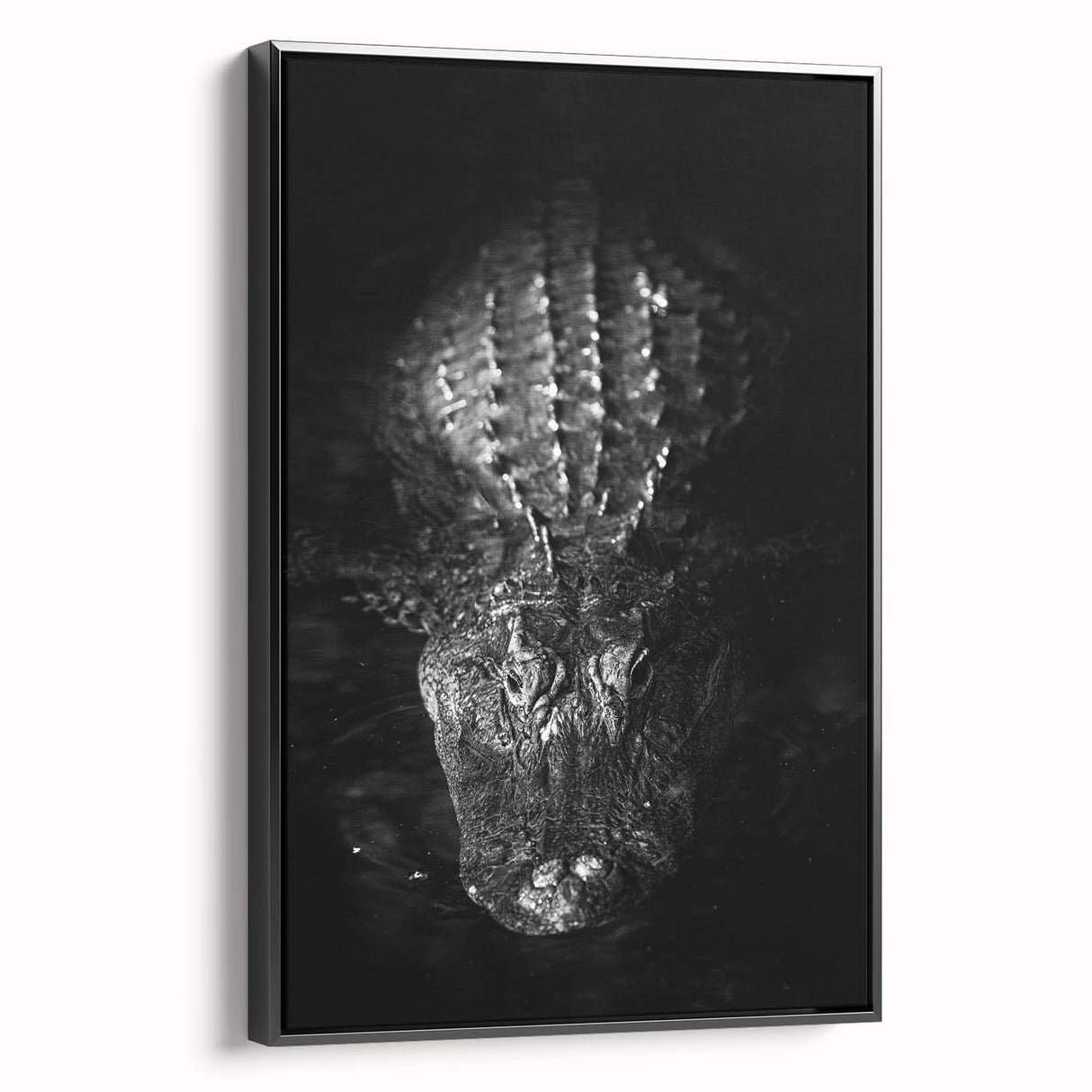 Framed wall art showcasing a vibrant reptile design featuring alligators and crocodiles, set against a sleek black background, ideal for wildlife enthusiasts and modern decor. Perfect for adding a touch of nature to any room.