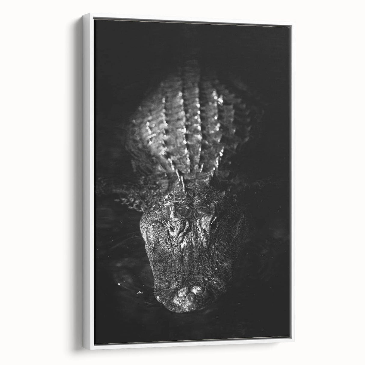 Framed canvas wall art featuring a vibrant reptile design showcasing gators and crocodiles, displayed against a white background, perfect for wildlife enthusiasts.