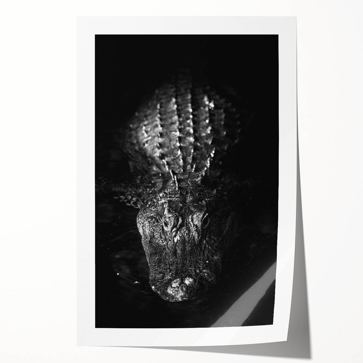 Vibrant wall art print showcasing a colorful design of reptiles, including alligators and crocodiles, perfect for wildlife enthusiasts and home decor.