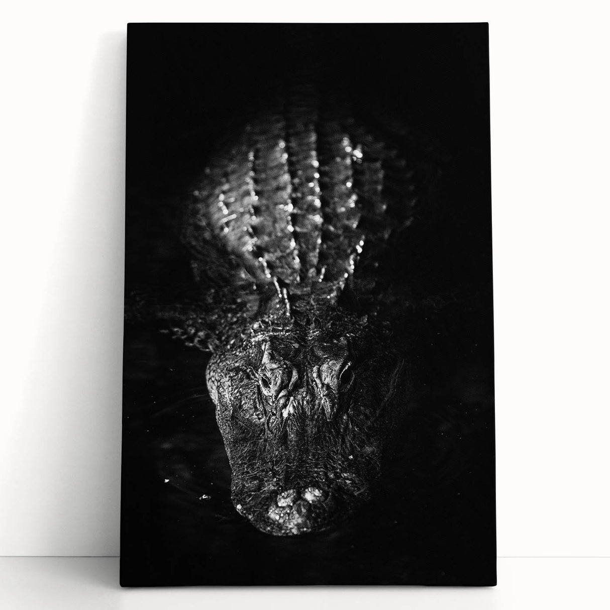 Stretched canvas wall art showcasing vibrant reptile-themed designs featuring alligators and crocodiles, perfect for home decor or wildlife enthusiasts.