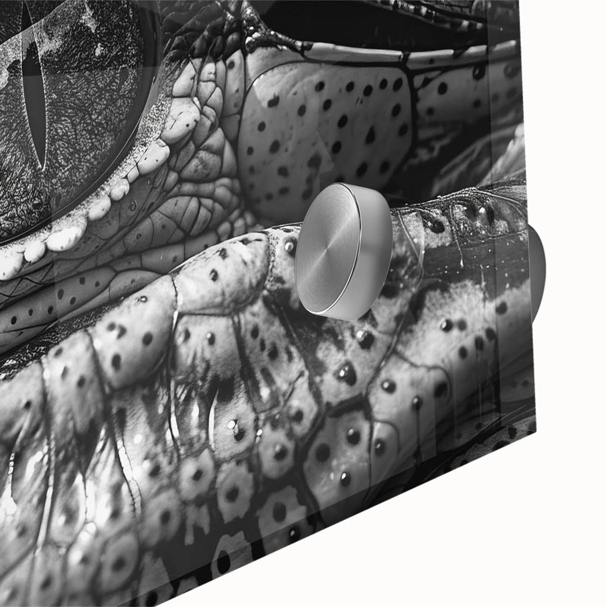 Close-up of a vibrant acrylic wall art piece showcasing a detailed design of reptiles, including alligators and crocodiles, ideal for wildlife enthusiasts.