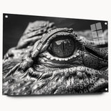 Acrylic wall art featuring a vibrant design of reptiles, including alligators and crocodiles, displayed from a side view with decorative pins, perfect for nature enthusiasts.