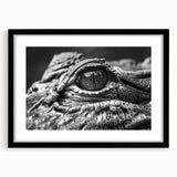 Framed wall art featuring a stunning reptile design showcasing alligators and crocodiles, presented in a sleek black frame with a white mat for a modern touch. Ideal for nature enthusiasts and wildlife decor.