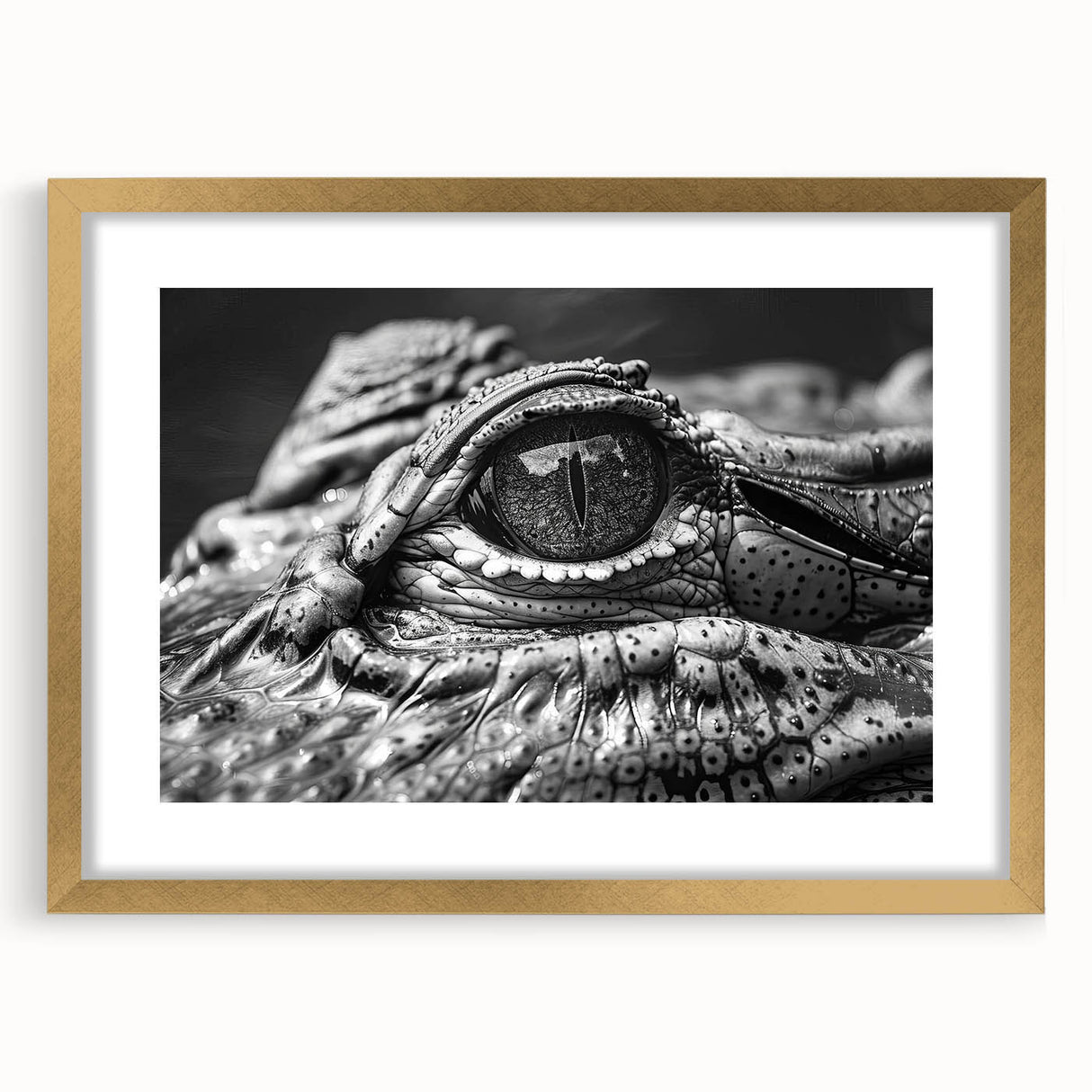 Framed wall art collection showcasing a vibrant design of reptiles, including alligators and crocodiles, with a gold mat, perfect for wildlife enthusiasts.
