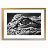 Framed wall art collection showcasing a vibrant design of reptiles, including alligators and crocodiles, with a gold mat, perfect for wildlife enthusiasts.