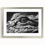 Framed wall art featuring a detailed design of reptiles, including alligators and crocodiles, displayed in a sleek silver frame with a mat, perfect for wildlife enthusiasts.