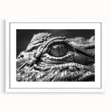 Framed wall art featuring a vibrant reptile design of alligators and crocodiles, complete with a white mat, perfect for enhancing any nature-themed decor.