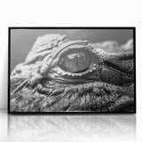 Framed acrylic wall art depicting a vibrant reptile design featuring alligators and crocodiles, set against a sleek black background, perfect for wildlife enthusiasts.