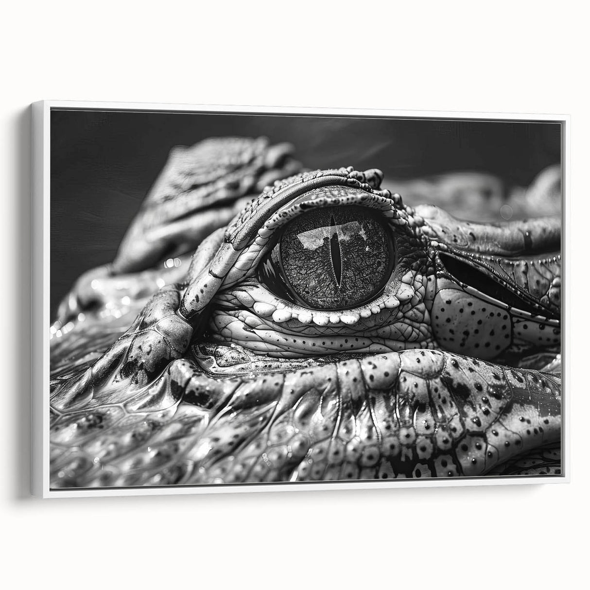 Framed wall art collection showcasing a vibrant design of reptiles, including gators and crocodiles, set against a white background, ideal for nature enthusiasts.