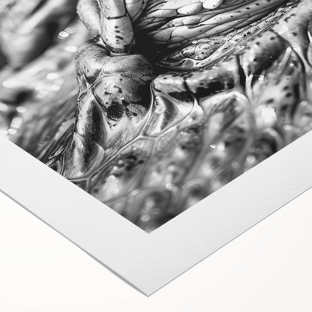 Rolled canvas artwork depicting a vibrant design of reptiles, including alligators and crocodiles, showcasing intricate details and vivid colors, perfect for nature enthusiasts.