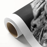 Rolled canvas art showcasing a vibrant design of reptiles, including alligators and crocodiles, featuring rich colors and intricate details, perfect for wildlife enthusiasts.