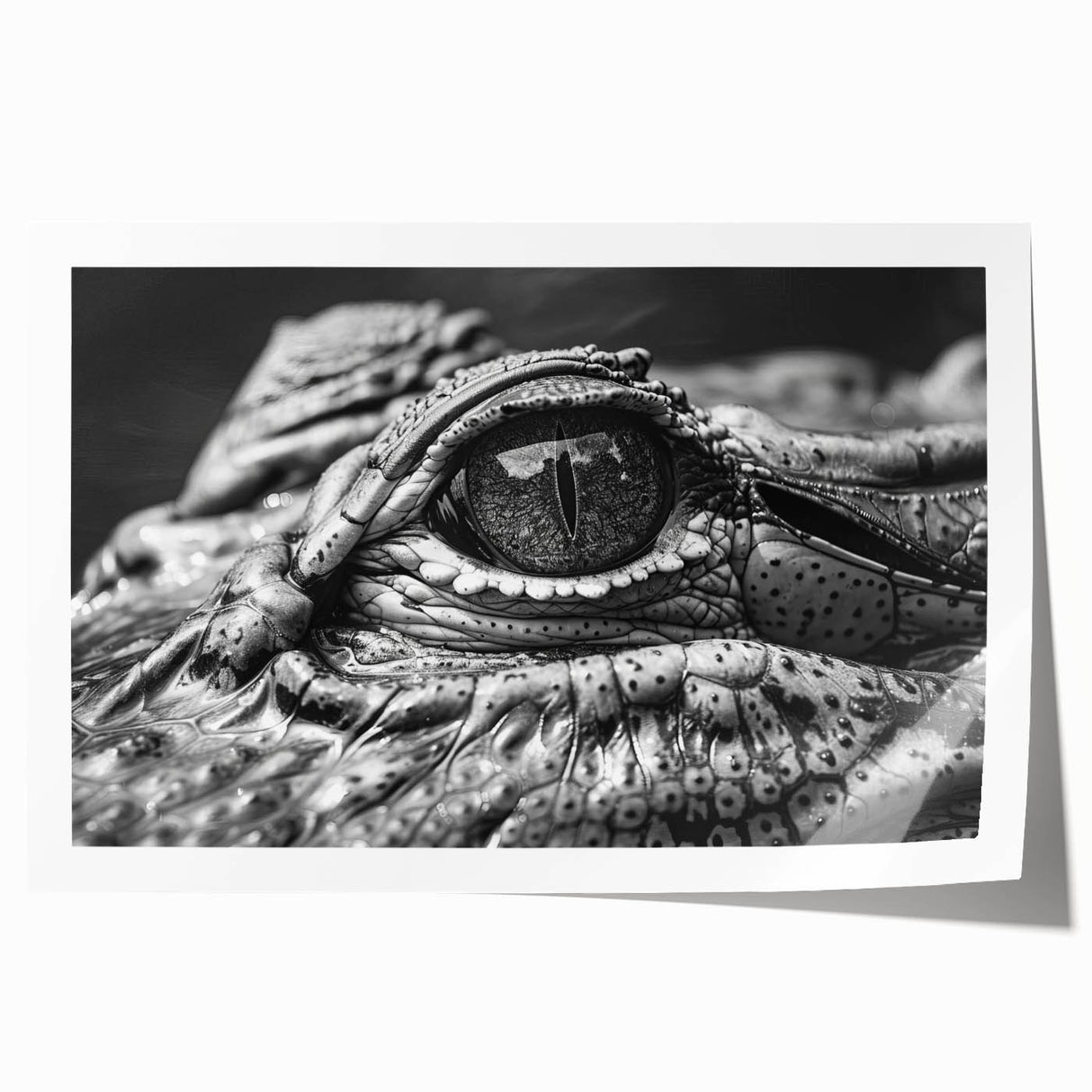 Vibrant wall art print featuring a detailed illustration of reptiles, including alligators and crocodiles, ideal for adding a unique touch to home decor.