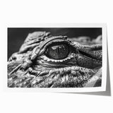 Vibrant wall art print featuring a detailed illustration of reptiles, including alligators and crocodiles, ideal for adding a unique touch to home decor.