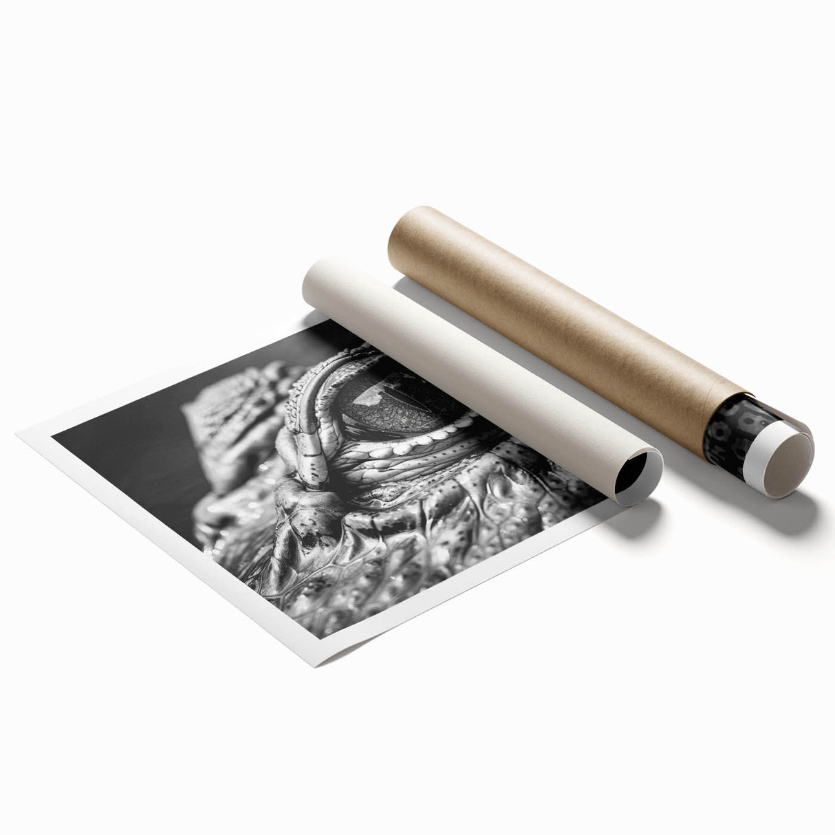 Colorful rolled print of a reptile-themed wall art design showcasing alligators and crocodiles, perfect for nature lovers and wildlife enthusiasts, packaged securely.