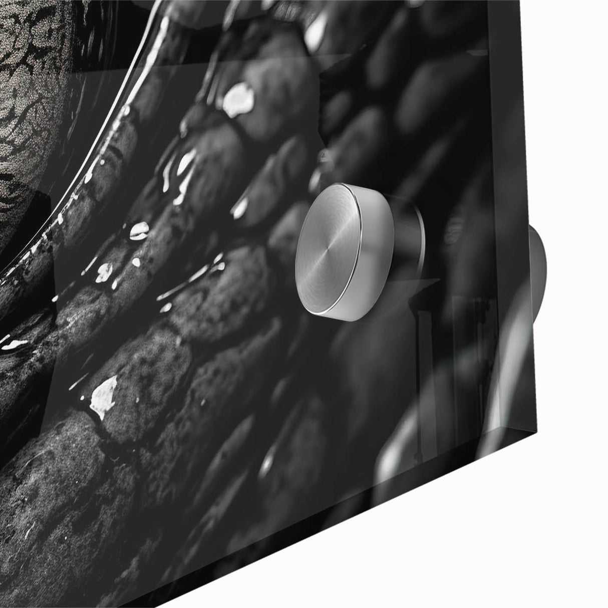 Close-up of a vibrant acrylic wall art piece depicting reptiles, including alligators and crocodiles, showcasing detailed textures and colors, ideal for wildlife enthusiasts.