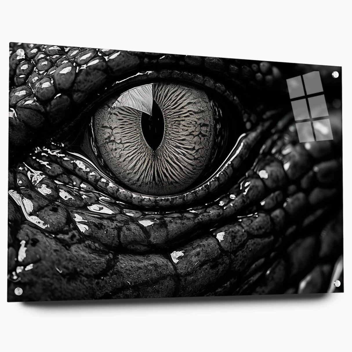 Acrylic wall art collection showcasing a detailed side view of reptile gators and crocodiles, featuring vibrant colors and intricate designs, perfect for wildlife enthusiasts.