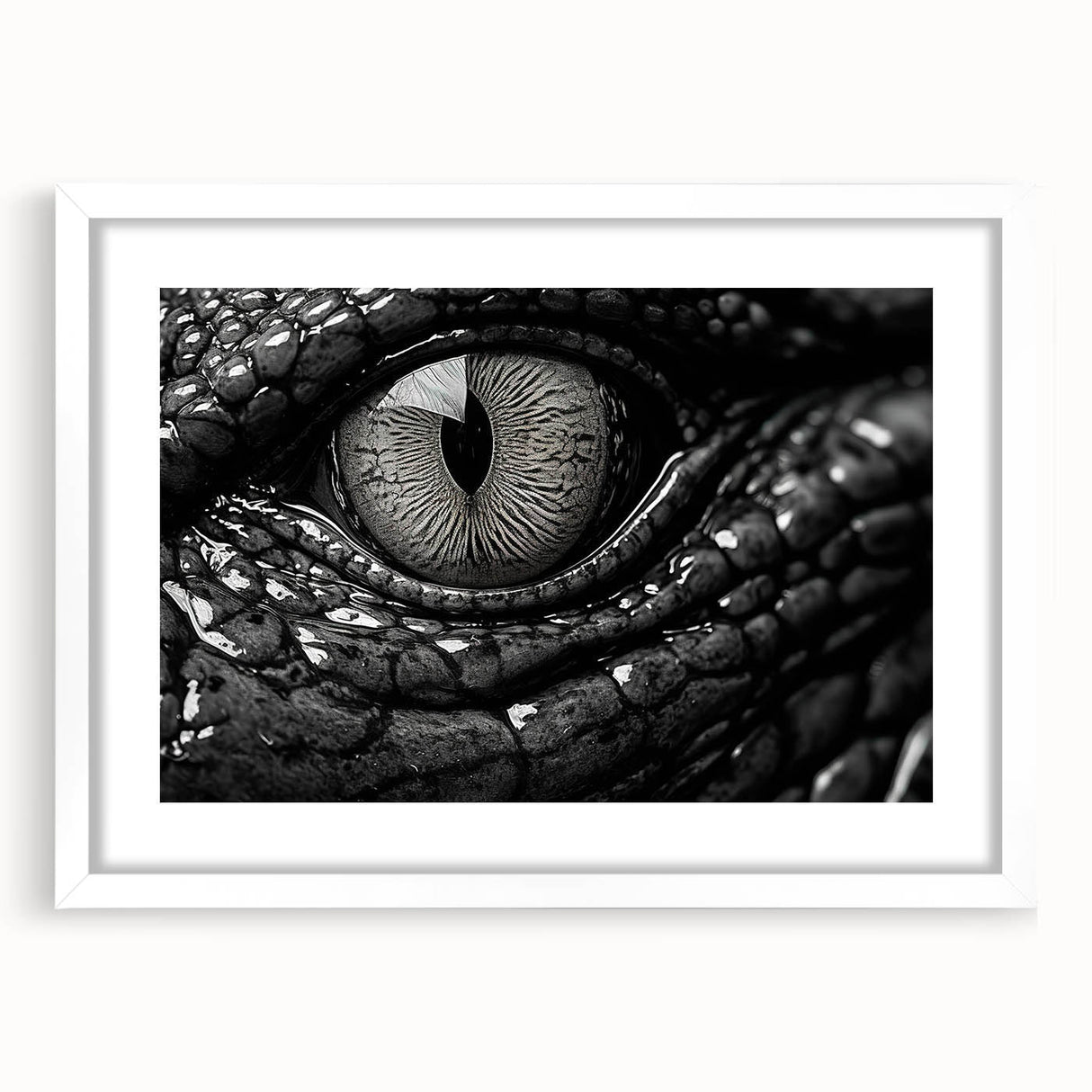 Framed wall art collection showcasing vibrant reptile-themed illustrations of alligators and crocodiles, set against a white mat, perfect for wildlife enthusiasts.