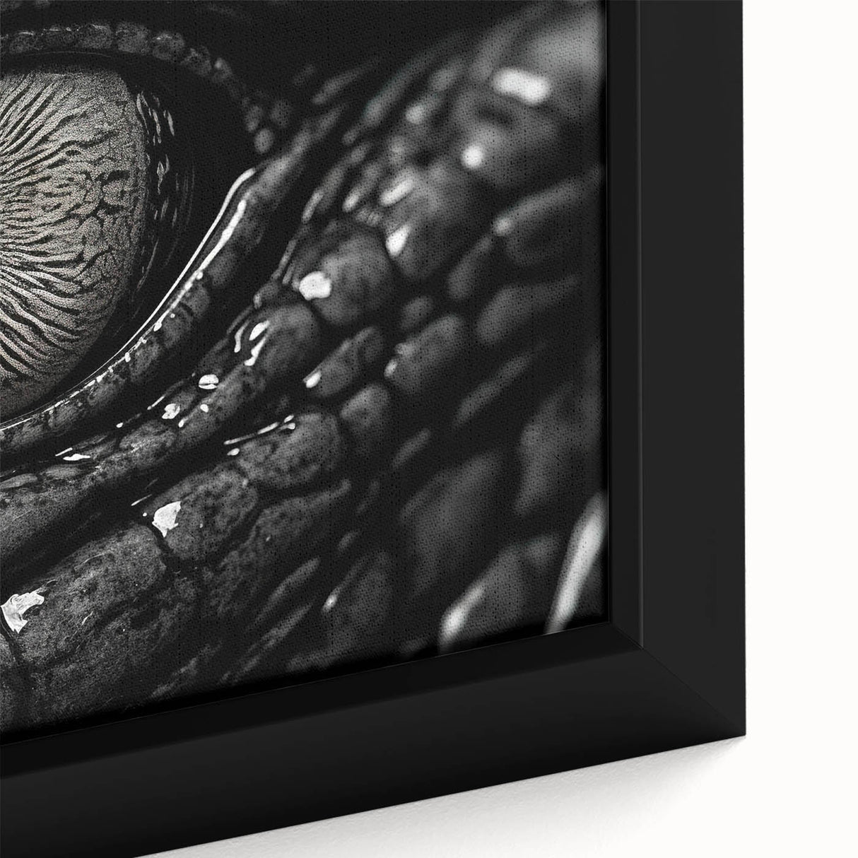 Close-up of a vibrant framed canvas wall art depicting gators and crocodiles, showcasing intricate details and textures, perfect for reptile enthusiasts.