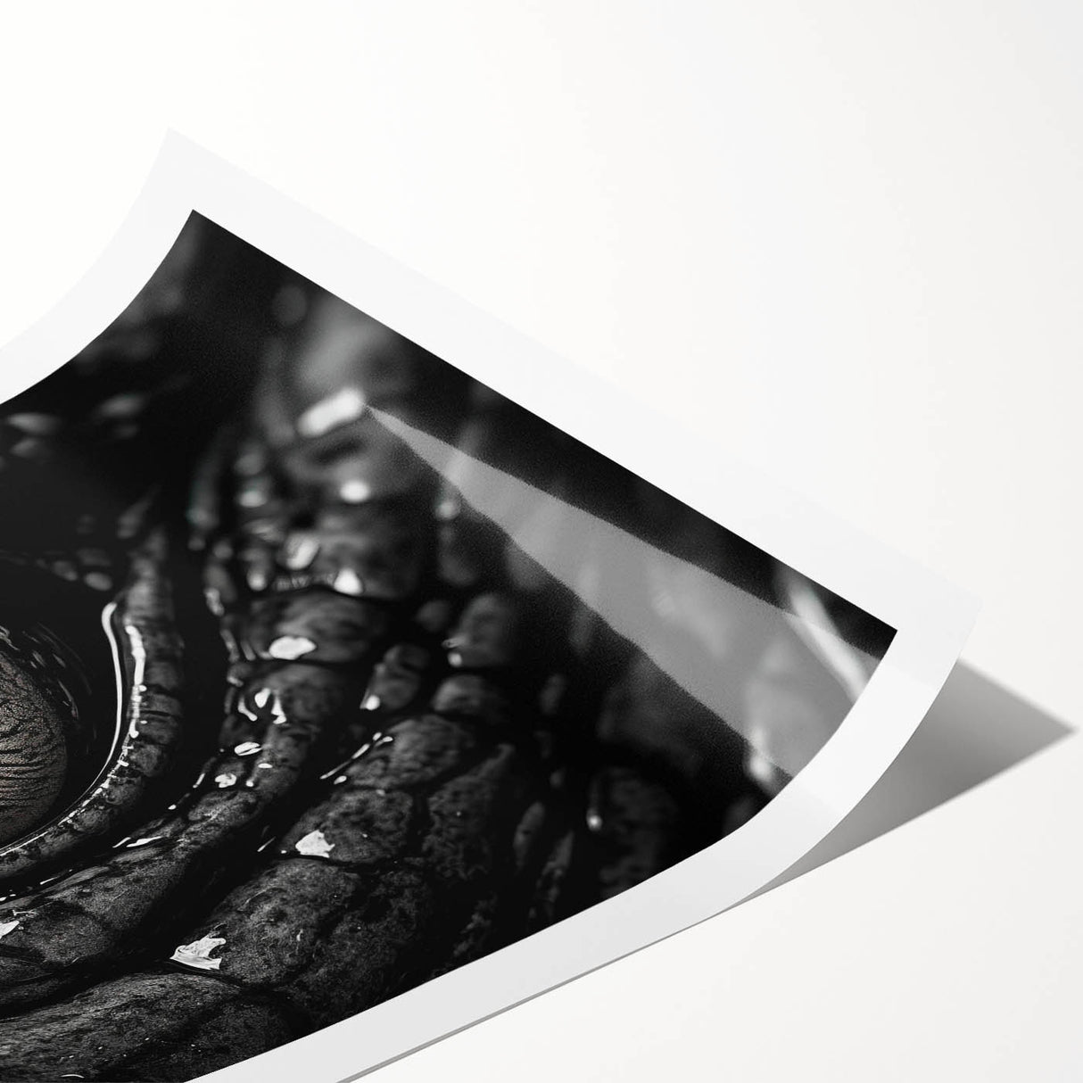 Rolled print showcasing a vibrant illustration of reptiles, including gators and crocodiles, with intricate details on a textured surface, ideal for wildlife enthusiasts.