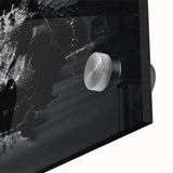 Close-up of a vibrant acrylic glass wall art collection showcasing detailed reptile designs featuring gators and crocodiles, perfect for wildlife enthusiasts.