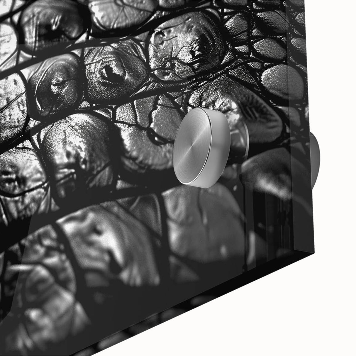 Close-up of vibrant acrylic glass wall art featuring a detailed design of reptiles, including alligators and crocodiles, showcasing intricate textures and colors, ideal for wildlife enthusiasts.