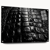 Colorful acrylic glass wall art featuring a vibrant design of reptiles, including alligators and crocodiles, showcased from a side view with display pins. This unique collection adds a dynamic touch to any space while highlighting wildlife themes.
