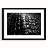 Black-framed wall art showcasing a vibrant collection of reptile-themed designs, including alligators and crocodiles, ideal for nature enthusiasts and modern decor.