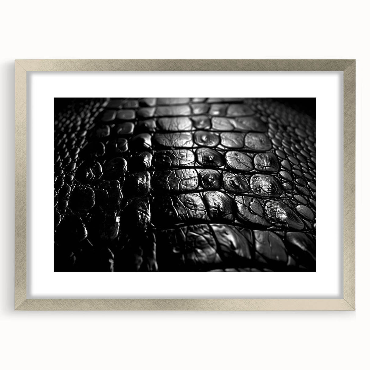 Framed wall art collection showcasing a vibrant reptile design featuring alligators and crocodiles, with a sleek silver frame and mat, ideal for home decor.