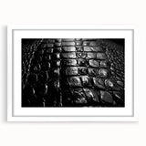 Framed wall art collection featuring vibrant reptile designs, including alligators and crocodiles, set against a white mat, perfect for animal lovers and decor enthusiasts.