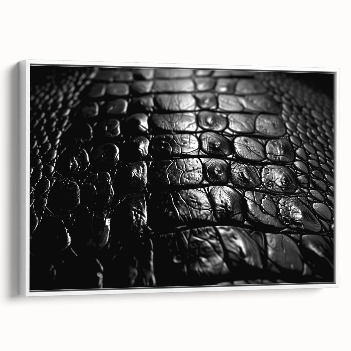 Framed canvas wall art showcasing a vibrant design of reptiles, including alligators and crocodiles, set against a white background, ideal for wildlife enthusiasts.