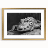 Framed wall art collection showcasing a vibrant reptile design featuring alligators and crocodiles, set in a stylish gold frame with a mat, ideal for home decor.