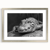 Framed wall art collection showcasing vibrant reptile designs featuring alligators and crocodiles, elegantly presented with a silver frame and mat. Ideal for wildlife enthusiasts and home decor.