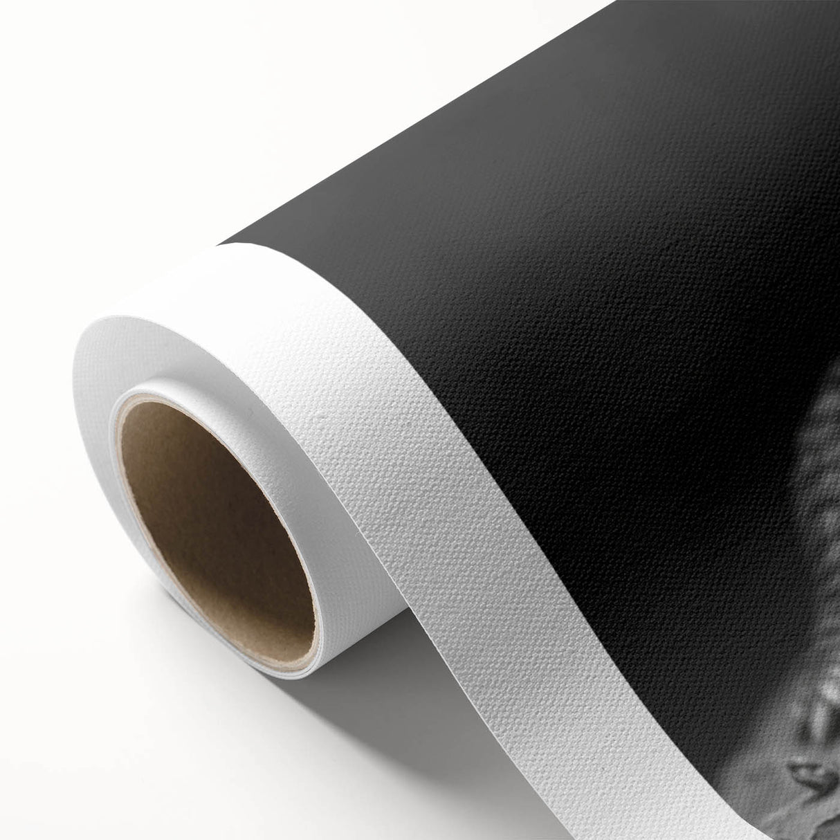 Rolled canvas art showcasing a vibrant design of reptiles, specifically gators and crocodiles, ideal for wildlife enthusiasts, enhancing home decor with a natural theme.