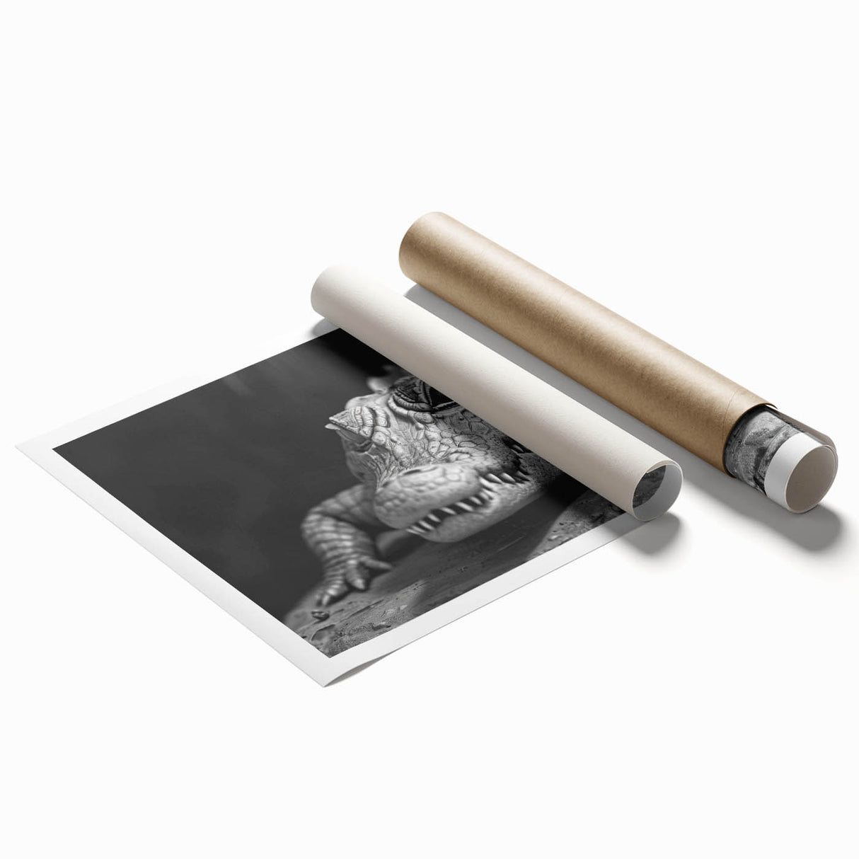 Vibrant wall art collection showcasing detailed illustrations of reptiles, including alligators and crocodiles, printed on high-quality paper, perfect for nature enthusiasts.