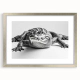 Framed wall art collection showcasing a vibrant reptile design featuring alligators and crocodiles, set in a sleek silver frame with a mat for added elegance.