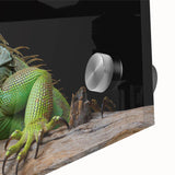 Close-up view of a vibrant reptile lizard wall art design printed on acrylic glass, showcasing intricate details and vivid colors, perfect for nature-themed decor.