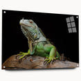 Colorful acrylic wall art featuring a vibrant reptile lizard design, showcased from a side view with decorative pins for display, perfect for reptile enthusiasts.