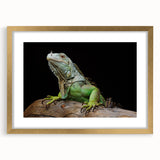 Framed wall art featuring a detailed reptile lizard design in vibrant colors, set in a sleek gold frame with a white mat, perfect for enhancing modern decor.
