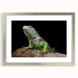 Framed wall art featuring a detailed lizard design, showcasing vibrant colors and intricate patterns, ideal for reptile enthusiasts and home decor lovers. The silver frame adds a modern touch, making it a stylish addition to any room.