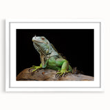 Framed wall art featuring a vibrant reptile lizard design, set in a white mat and frame, perfect for adding a touch of nature-inspired decor to any room.