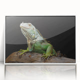 Framed acrylic wall art featuring a vibrant reptile and lizard design, showcasing intricate details and bright colors, perfect for animal lovers and home decor enthusiasts.