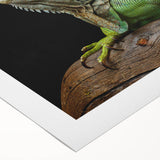 Colorful rolled canvas wall art featuring a vibrant lizard design, ideal for reptile enthusiasts and home decor, packaged securely in a protective tube.