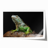 Colorful wall art print featuring a detailed illustration of a lizard, designed for reptile enthusiasts, showcasing intricate patterns and vibrant hues on a white background. Perfect for home decor or a nature-themed room, adding a unique touch to any space.