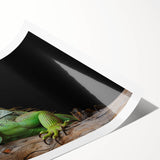 Vibrant wall art print featuring a detailed illustration of a lizard, showcasing intricate patterns and colors, perfect for reptile enthusiasts and home decor.