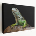 Vibrant stretched canvas wall art featuring a detailed side view of a colorful lizard, ideal for reptile enthusiasts and nature lovers, showcasing intricate patterns and vivid colors. Perfect for adding a unique touch to home decor.