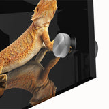 Close-up of a vibrant acrylic glass wall art piece showcasing a detailed reptile lizard design, perfect for enhancing contemporary decor with a touch of nature.