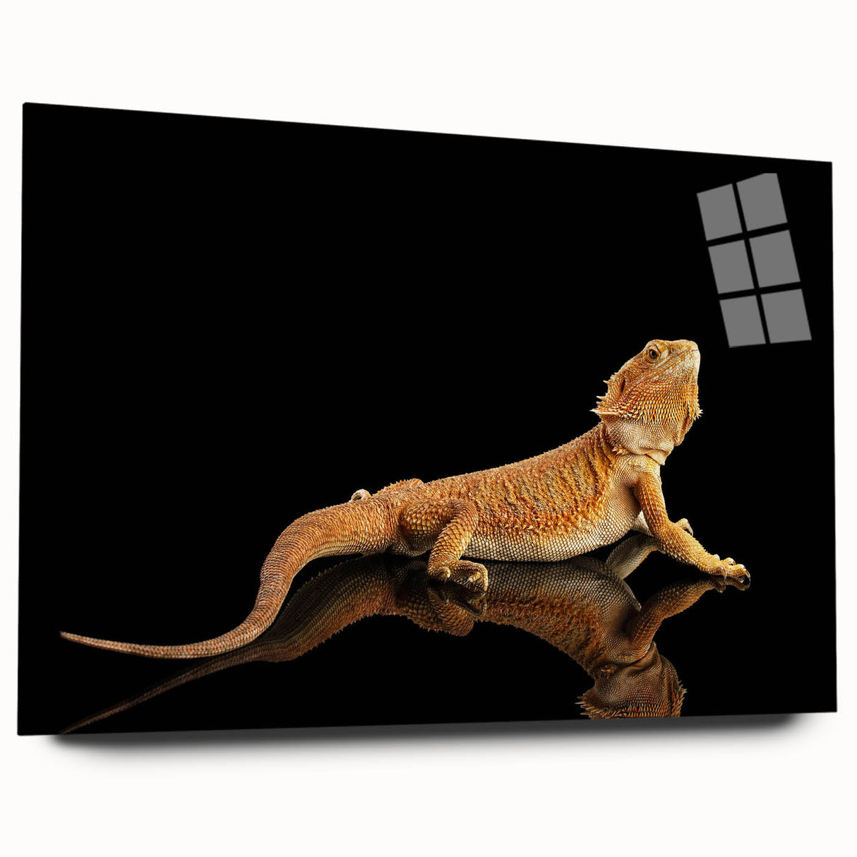 Vibrant acrylic glass wall art showcasing a detailed side view of a lizard design, perfect for reptile enthusiasts and modern home decor. Suitable for any room.