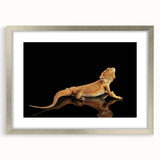 Framed wall art featuring a vibrant lizard design in silver frame with mat, perfect for reptile lovers and modern decor enthusiasts, showcasing intricate details and lively colors.